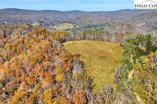 226 Loves Knob Rd, Sugar Grove, NC 28679 - Photo 8