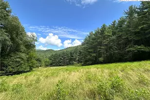 226 Loves Knob Rd, Sugar Grove, NC 28679 - Photo 6