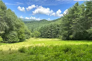 226 Loves Knob Rd, Sugar Grove, NC 28679 - Photo 4