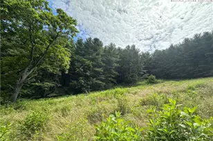 226 Loves Knob Rd, Sugar Grove, NC 28679 - Photo 26