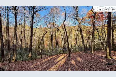 Tbd Lot 170 Wildcat Wilderness Parkway, Deep Gap, NC 28618 - Photo 22