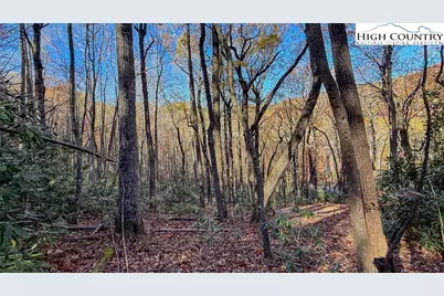 Tbd Lot 170 Wildcat Wilderness Parkway, Deep Gap, NC 28618 - Photo 18