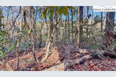 Tbd Lot 170 Wildcat Wilderness Parkway, Deep Gap, NC 28618 - Photo 26