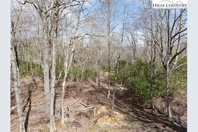 Es42 Firesong Lane, Banner Elk, NC 28604 - Photo 8