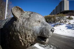 303 Sugar Top Dr, Sugar Mountain, NC 28604 - Photo 24