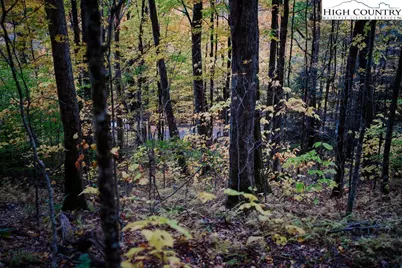 Lot 35 Tynecastle Drive, Banner Elk, NC 28604 - Photo 12