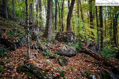Lot 35 Tynecastle Drive, Banner Elk, NC 28604 - Photo 14
