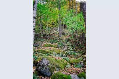 Lot 35 Tynecastle Drive, Banner Elk, NC 28604 - Photo 24