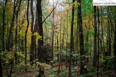 Lot 35 Tynecastle Drive, Banner Elk, NC 28604 - Photo 20