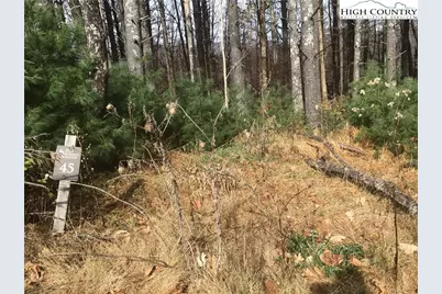 Tbd Pine Springs Estates Road, Jefferson, NC 28640 - Photo 1