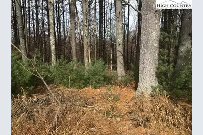 Tbd Pine Springs Estates Road, Jefferson, NC 28640 - Photo 2