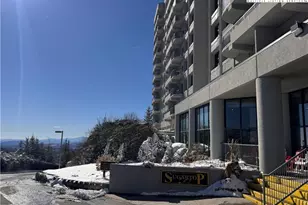 303 Sugar Top Dr, Sugar Mountain, NC 28604 - Photo 28