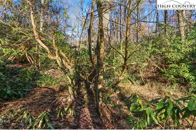 Tbd Midway Road, Newland, NC 28657 - Photo 18