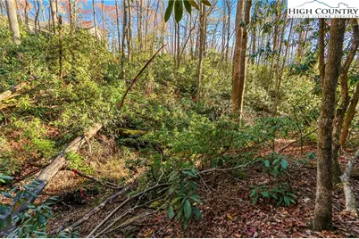 Tbd Midway Road, Newland, NC 28657 - Photo 16