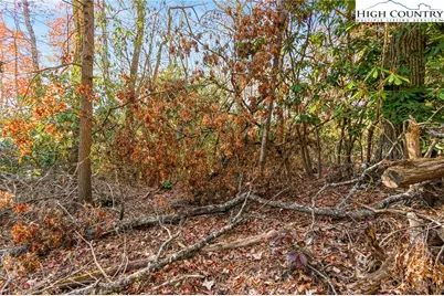 Tbd Midway Road, Newland, NC 28657 - Photo 2