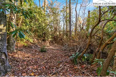 Tbd Midway Road, Newland, NC 28657 - Photo 4