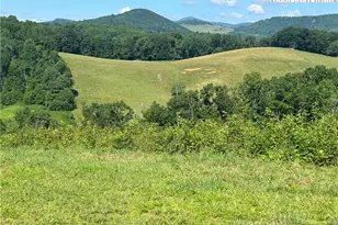 509 Grant Houck Rd, Todd, NC 28684 - Photo 14