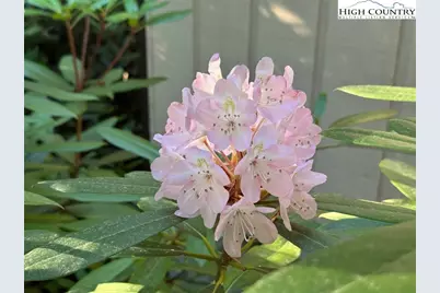 401 Windridge Road, Newland, NC 28657 - Photo 18