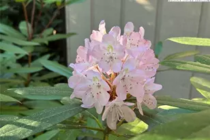 401 Windridge Rd, Newland, NC 28657 - Photo 18