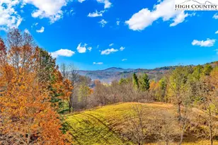 575 New River Cemetery Rd, Grassy Creek, NC 28631 - Photo 48