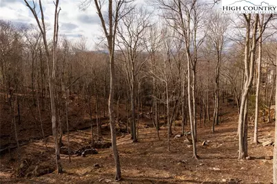 Lv2 Old Laurel Lane, Elk Park, NC 28622 - Photo 2