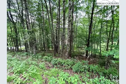 Lot 3 Riverwood Lane, Sugar Grove, NC 28679 - Photo 4