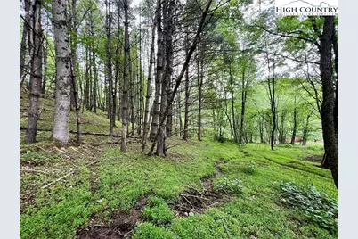 Lot 3 Riverwood Lane, Sugar Grove, NC 28679 - Photo 8