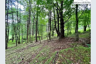 Lot 3 Riverwood Lane, Sugar Grove, NC 28679 - Photo 6