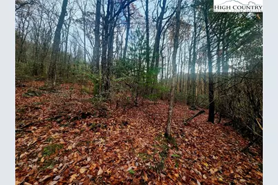 2876 Howards Creek Road, Boone, NC 28607 - Photo 22