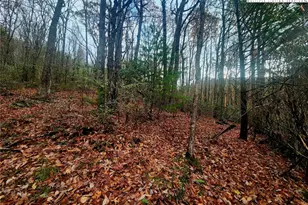 2876 Howard's Creek Rd, Boone, NC 28607 - Photo 22