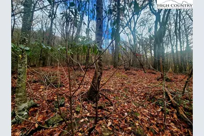 2876 Howards Creek Road, Boone, NC 28607 - Photo 30