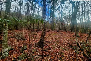 2876 Howard's Creek Rd, Boone, NC 28607 - Photo 30