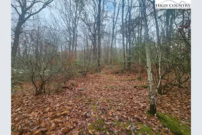 2876 Howards Creek Road, Boone, NC 28607 - Photo 20