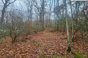 2876 Howard's Creek Rd, Boone, NC 28607 - Photo 20