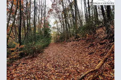 2876 Howards Creek Road, Boone, NC 28607 - Photo 16