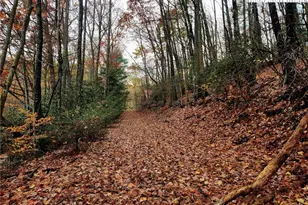 2876 Howard's Creek Rd, Boone, NC 28607 - Photo 16