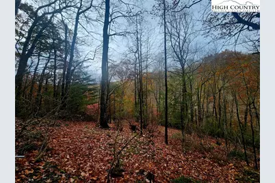 2876 Howards Creek Road, Boone, NC 28607 - Photo 26