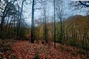 2876 Howard's Creek Rd, Boone, NC 28607 - Photo 26