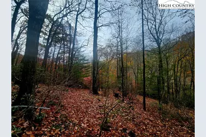 2876 Howards Creek Road, Boone, NC 28607 - Photo 24