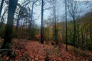 2876 Howard's Creek Rd, Boone, NC 28607 - Photo 24