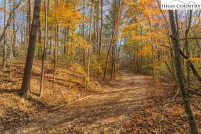 1165 Dehart Community Center Road, Hays, NC 28635 - Photo 8