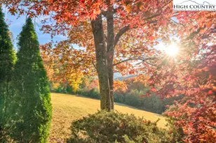 3664 Elk Ridge Rd, Ferguson, NC 28624 - Photo 12