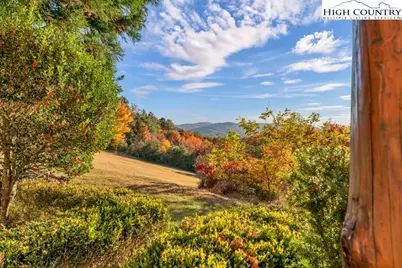 3664 Elk Ridge Road, Ferguson, NC 28624 - Photo 12