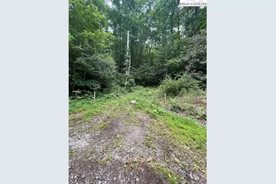 Tbd Big Ivy Rd. & Benge Ashe Rd., Purlear, NC 28665 - Photo 8