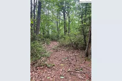 Tbd Big Ivy Rd. & Benge Ashe Rd., Purlear, NC 28665 - Photo 10