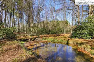 178 Brook Ln, Boone, NC 28607 - Photo 46