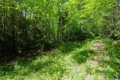 Tbd Black Bear Trail, Blowing Rock, NC 28605 - Photo 4
