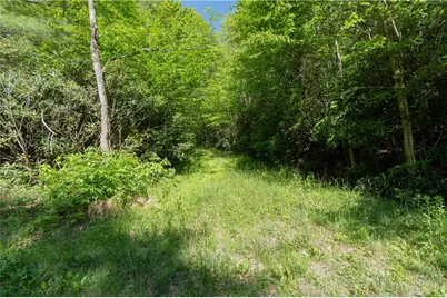 Tbd Black Bear Trail, Blowing Rock, NC 28605 - Photo 2