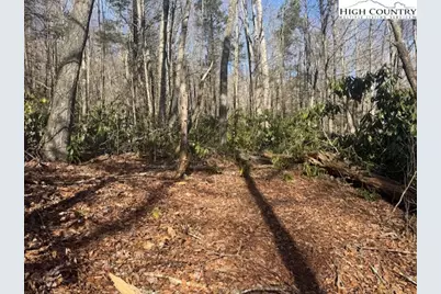 Tbd Black Bear Trail, Blowing Rock, NC 28605 - Photo 2