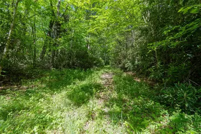 Tbd Black Bear Trail, Blowing Rock, NC 28605 - Photo 4